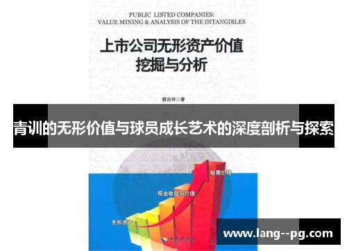 青训的无形价值与球员成长艺术的深度剖析与探索