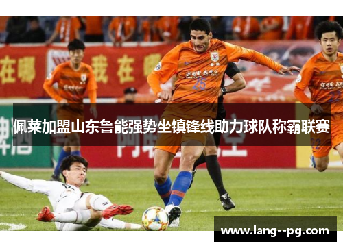 佩莱加盟山东鲁能强势坐镇锋线助力球队称霸联赛